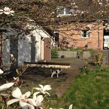 Mit Garten In Appartamento *