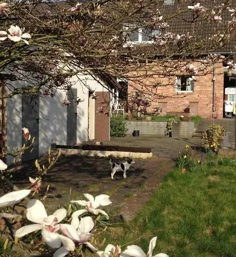 Mit Garten In 아파트 *