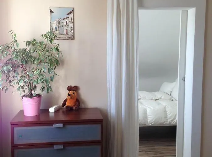 Appartement Mit Garten In Cologne