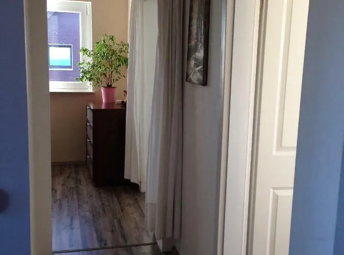 Appartement Mit Garten In Cologne