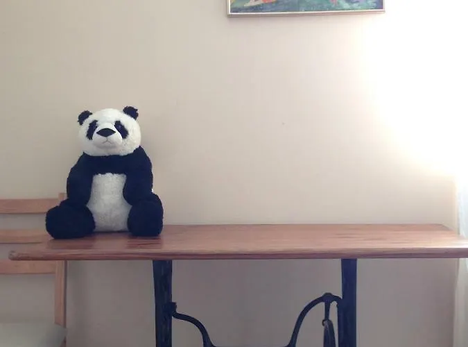 Daire Mit Garten In Köln