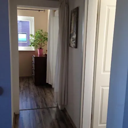 Appartement Mit Garten In Cologne