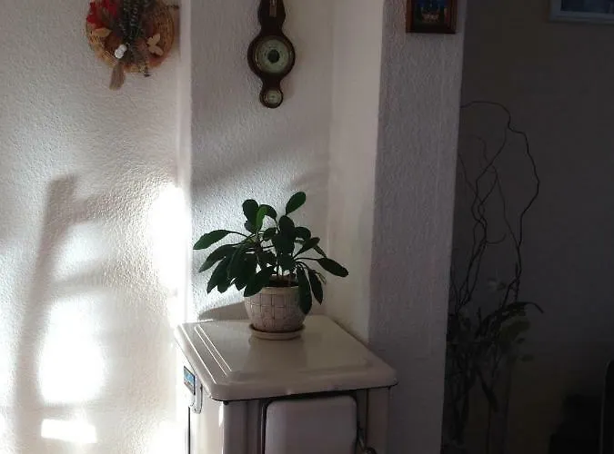 Mit Garten In